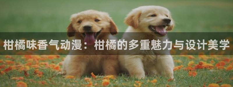 韩漫在线漫画：柑橘味香气动漫：柑橘的多重魅力与设计美学配图
