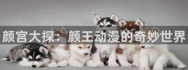 韩漫漫画大全在线阅读:颜宫大探:颜王动漫的奇妙世界配图