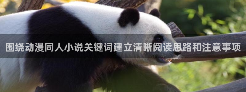 韩漫漫画手机免费阅读:围绕动漫同人小说关键词建立清晰阅读思路和注意事项配图
